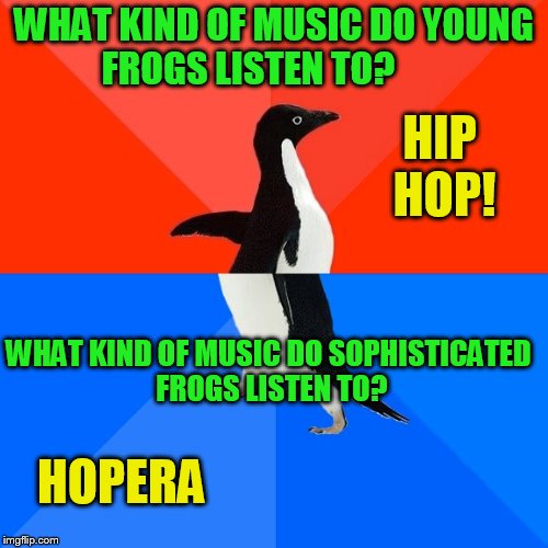 I guess if it's going  to be a popular template, might as well wreck it! | WHAT KIND OF MUSIC DO YOUNG FROGS LISTEN TO? HIP HOP! WHAT KIND OF MUSIC DO SOPHISTICATED FROGS LISTEN TO? HOPERA | image tagged in memes,socially awesome awkward penguin | made w/ Imgflip meme maker