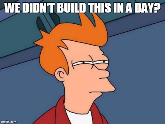 Futurama Fry Meme | WE DIDN'T BUILD THIS IN A DAY? | image tagged in memes,futurama fry | made w/ Imgflip meme maker