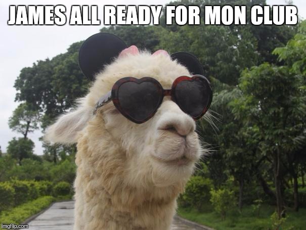 cool llama | JAMES ALL READY FOR MON CLUB | image tagged in cool llama | made w/ Imgflip meme maker