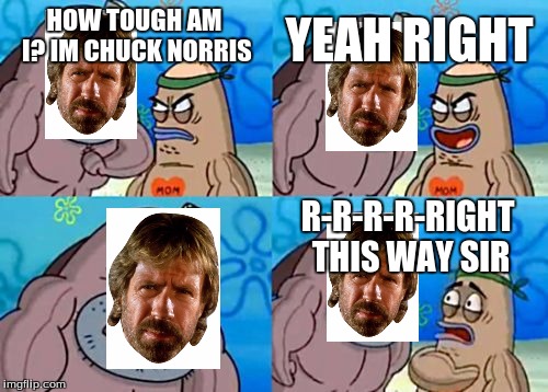 How Tough Are You | YEAH RIGHT; HOW TOUGH AM I? IM CHUCK NORRIS; R-R-R-R-RIGHT THIS WAY SIR | image tagged in memes,how tough are you | made w/ Imgflip meme maker