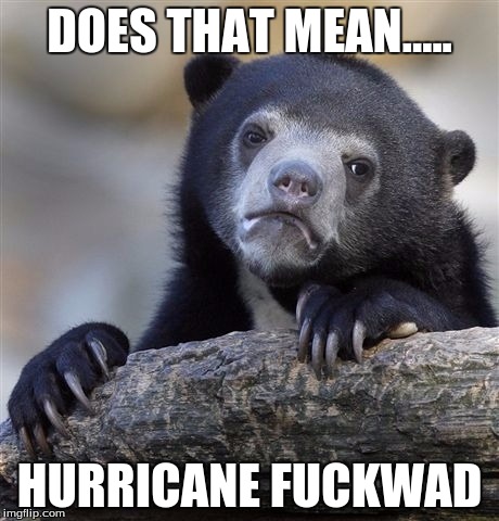 Confession Bear Meme | DOES THAT MEAN..... HURRICANE F**KWAD | image tagged in memes,confession bear | made w/ Imgflip meme maker