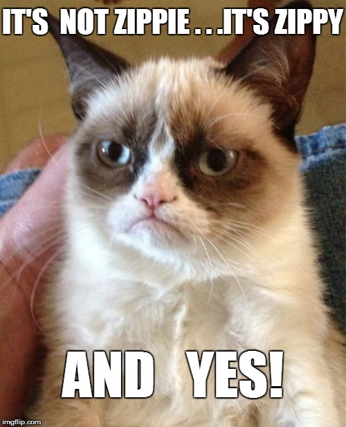 Grumpy Cat Meme | IT'S  NOT ZIPPIE . . .IT'S ZIPPY AND   YES! | image tagged in memes,grumpy cat | made w/ Imgflip meme maker