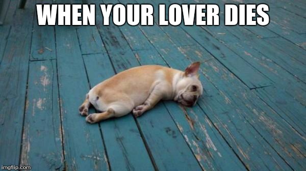 tired dog | WHEN YOUR LOVER DIES | image tagged in tired dog | made w/ Imgflip meme maker