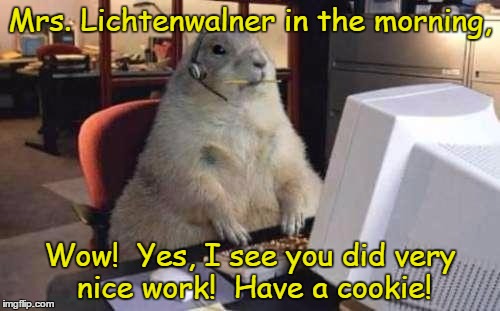 Working Groundhog | Mrs. Lichtenwalner in the morning, Wow!  Yes, I see you did very nice work!  Have a cookie! | image tagged in working groundhog | made w/ Imgflip meme maker