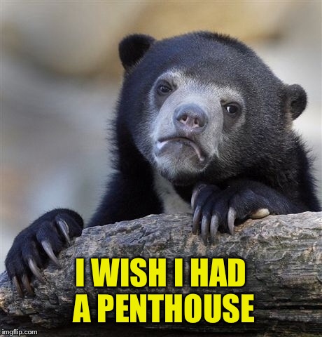 Confession Bear Meme | I WISH I HAD A PENTHOUSE | image tagged in memes,confession bear | made w/ Imgflip meme maker