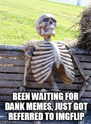 Forgive my Ignorance, I did not know ImgFlip existed.  | BEEN WAITING FOR DANK MEMES, JUST GOT REFERRED TO IMGFLIP | image tagged in memes,waiting skeleton,imgflip,ignorance,wtf | made w/ Imgflip meme maker