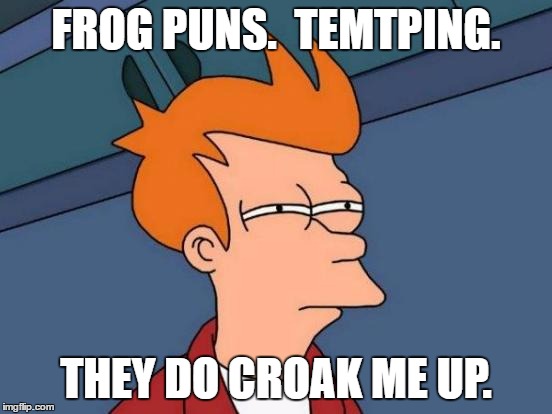 Futurama Fry Meme | FROG PUNS.  TEMTPING. THEY DO CROAK ME UP. | image tagged in memes,futurama fry | made w/ Imgflip meme maker