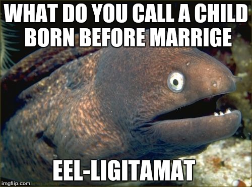 Bad Joke Eel | WHAT DO YOU CALL A CHILD BORN BEFORE MARRIGE; EEL-LIGITAMAT | image tagged in memes,bad joke eel | made w/ Imgflip meme maker