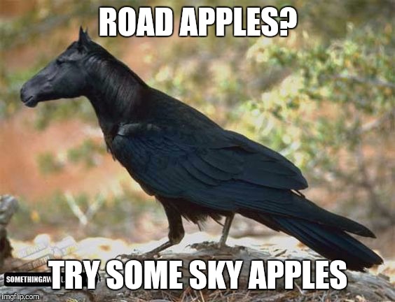 ROAD APPLES? TRY SOME SKY APPLES | made w/ Imgflip meme maker