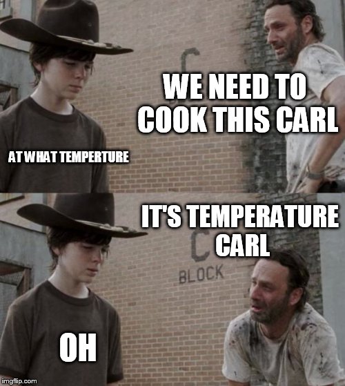 Rick and Carl Meme | WE NEED TO COOK THIS CARL AT WHAT TEMPERTURE IT'S TEMPERATURE CARL OH | image tagged in memes,rick and carl | made w/ Imgflip meme maker
