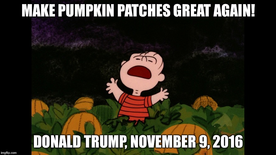 Great Pumpkin | MAKE PUMPKIN PATCHES GREAT AGAIN! DONALD TRUMP, NOVEMBER 9, 2016 | image tagged in great pumpkin | made w/ Imgflip meme maker