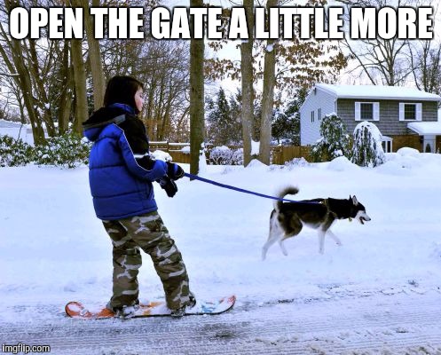 OPEN THE GATE A LITTLE MORE | made w/ Imgflip meme maker