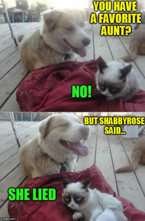 Grumpy Cat and his dog | YOU HAVE A FAVORITE AUNT? NO! BUT SHABBYROSE SAID... SHE LIED | image tagged in grumpy cat and his dog | made w/ Imgflip meme maker