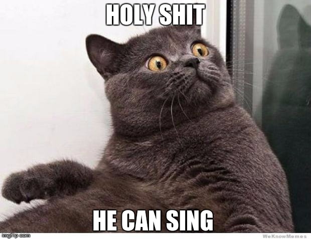 Cat WTF | HOLY SHIT; HE CAN SING | image tagged in cat wtf | made w/ Imgflip meme maker