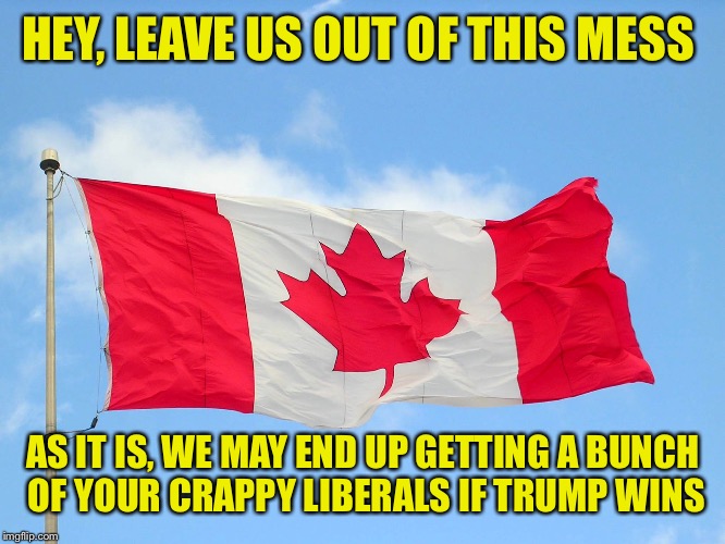 HEY, LEAVE US OUT OF THIS MESS AS IT IS, WE MAY END UP GETTING A BUNCH OF YOUR CRAPPY LIBERALS IF TRUMP WINS | made w/ Imgflip meme maker