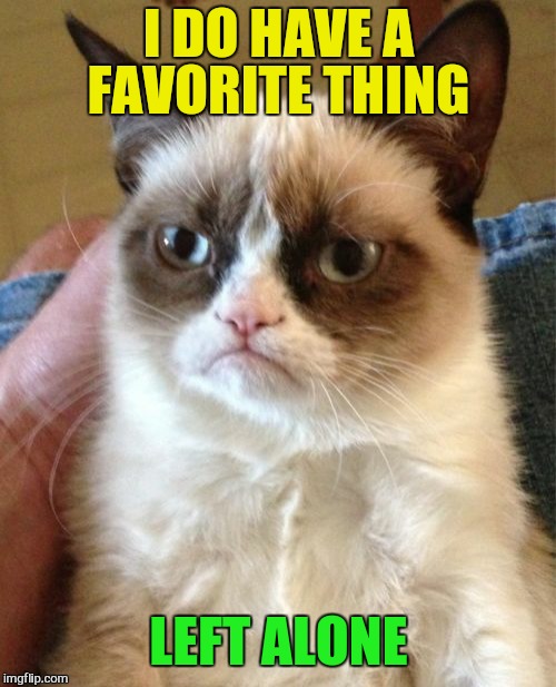 Grumpy Cat Meme | I DO HAVE A FAVORITE THING LEFT ALONE | image tagged in memes,grumpy cat | made w/ Imgflip meme maker