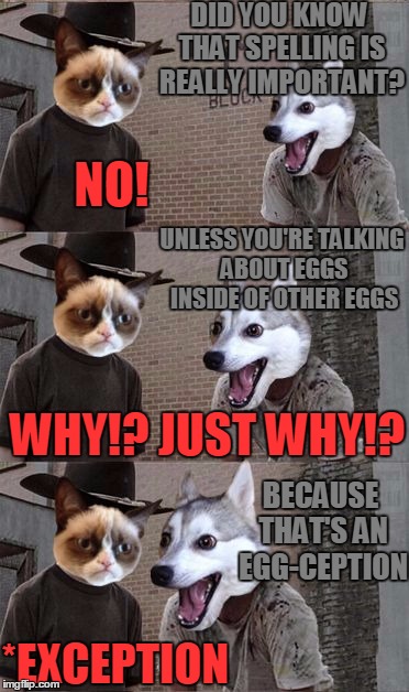 Grumpy Cat and Bad Pun Dog | DID YOU KNOW THAT SPELLING IS REALLY IMPORTANT? NO! UNLESS YOU'RE TALKING ABOUT EGGS INSIDE OF OTHER EGGS; WHY!? JUST WHY!? BECAUSE THAT'S AN EGG-CEPTION; *EXCEPTION | image tagged in grumpy cat and bad pun dog,memes,memeception,inception,grammar nazi cat,bad puns | made w/ Imgflip meme maker