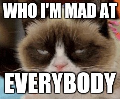 WHO I'M MAD AT; EVERYBODY | image tagged in grumpy cat not amused | made w/ Imgflip meme maker