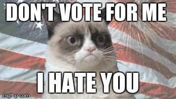 DON'T VOTE FOR ME; I HATE YOU | image tagged in grumpy cat does not believe | made w/ Imgflip meme maker