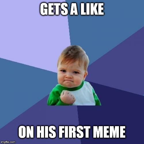 Success Kid | GETS A LIKE; ON HIS FIRST MEME | image tagged in memes,success kid | made w/ Imgflip meme maker