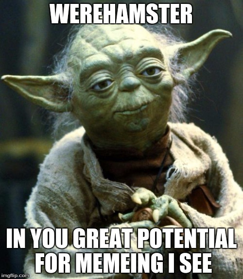 Star Wars Yoda | WEREHAMSTER; IN YOU GREAT POTENTIAL FOR MEMEING I SEE | image tagged in memes,star wars yoda | made w/ Imgflip meme maker