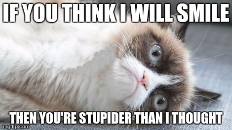 IF YOU THINK I WILL SMILE; THEN YOU'RE STUPIDER THAN I THOUGHT | image tagged in stupid people | made w/ Imgflip meme maker