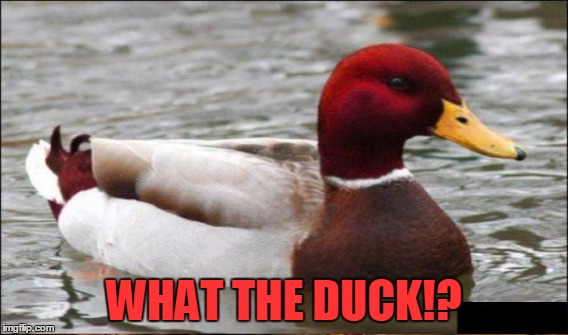 When You Have No Idea What just Happened | WHAT THE DUCK!? | image tagged in memes,angry duck | made w/ Imgflip meme maker