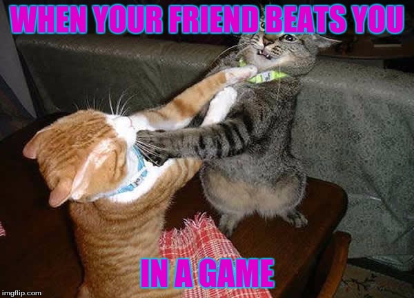 Two cats fighting for real | WHEN YOUR FRIEND BEATS YOU; IN A GAME | image tagged in two cats fighting for real | made w/ Imgflip meme maker
