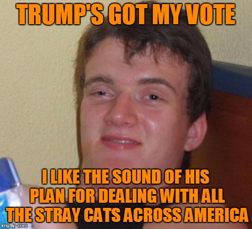 10 Guy Meme | TRUMP'S GOT MY VOTE I LIKE THE SOUND OF HIS PLAN FOR DEALING WITH ALL THE STRAY CATS ACROSS AMERICA | image tagged in memes,10 guy | made w/ Imgflip meme maker