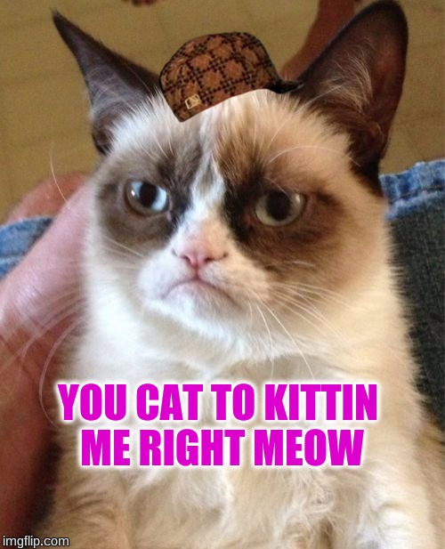 Grumpy Cat | YOU CAT TO KITTIN ME RIGHT MEOW | image tagged in memes,grumpy cat,scumbag | made w/ Imgflip meme maker