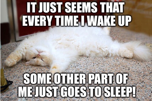 IT JUST SEEMS THAT EVERY TIME I WAKE UP; SOME OTHER PART OF ME JUST GOES TO SLEEP! | made w/ Imgflip meme maker