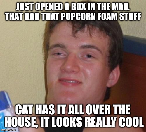Never leave cat unattended  | JUST OPENED A BOX IN THE MAIL THAT HAD THAT POPCORN FOAM STUFF; CAT HAS IT ALL OVER THE HOUSE, IT LOOKS REALLY COOL | image tagged in memes,10 guy,funny memes,so true memes,unlucky,latest | made w/ Imgflip meme maker