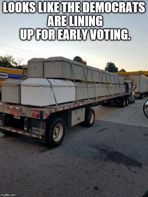 LOOKS LIKE THE DEMOCRATS ARE LINING UP FOR EARLY VOTING. | image tagged in voting | made w/ Imgflip meme maker