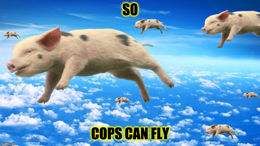 When Pigs Fly | SO; COPS CAN FLY | image tagged in when pigs fly | made w/ Imgflip meme maker