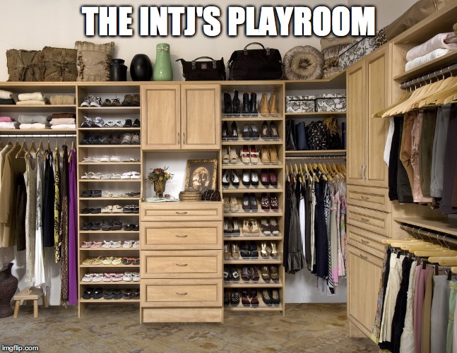 Clean Closet | THE INTJ'S PLAYROOM | image tagged in clean closet | made w/ Imgflip meme maker
