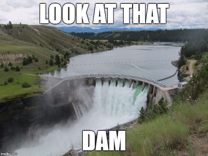 LOOK AT THAT DAM | made w/ Imgflip meme maker