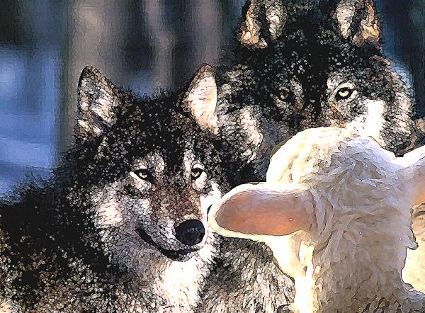 wolves and sheep democracy Blank Meme Template