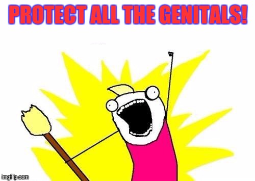 X All The Y | PROTECT ALL THE GENITALS! | image tagged in memes,x all the y | made w/ Imgflip meme maker