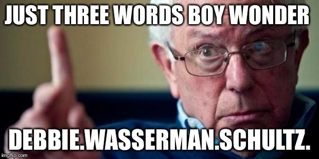 JUST THREE WORDS BOY WONDER DEBBIE.WASSERMAN.SCHULTZ. | made w/ Imgflip meme maker