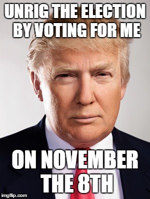 Donald Trump | UNRIG THE ELECTION BY VOTING FOR ME; ON NOVEMBER THE 8TH | image tagged in donald trump | made w/ Imgflip meme maker