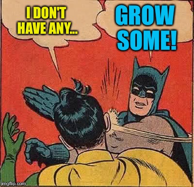 Batman Slapping Robin Meme | I DON'T HAVE ANY... GROW SOME! | image tagged in memes,batman slapping robin | made w/ Imgflip meme maker