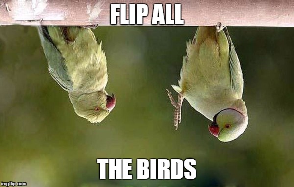 FLIP ALL THE BIRDS | made w/ Imgflip meme maker