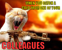 KillerCat | WHEN YOU CATCH A COLD FROM ONE OF YOUR; COLLEAGUES | image tagged in killercat | made w/ Imgflip meme maker