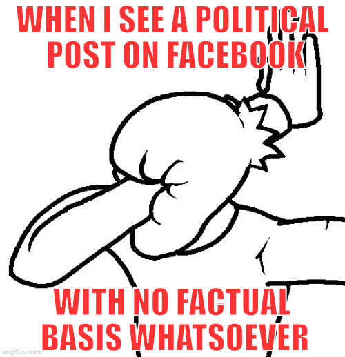 facepalm though head | WHEN I SEE A POLITICAL POST ON FACEBOOK; WITH NO FACTUAL BASIS WHATSOEVER | image tagged in facepalm though head | made w/ Imgflip meme maker