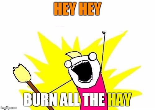 X All The Y Meme | HEY HEY BURN ALL THE HAY HAY | image tagged in memes,x all the y | made w/ Imgflip meme maker