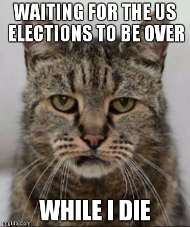 Hazbean | WAITING FOR THE US ELECTIONS TO BE OVER; WHILE I DIE | image tagged in hazbean | made w/ Imgflip meme maker