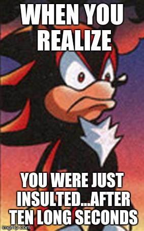 SONIC FANBASE REACTION | WHEN YOU REALIZE; YOU WERE JUST INSULTED...AFTER TEN LONG SECONDS | image tagged in sonic fanbase reaction | made w/ Imgflip meme maker