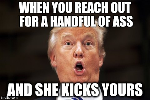 Trump Surprise | WHEN YOU REACH OUT FOR A HANDFUL OF ASS; AND SHE KICKS YOURS | image tagged in donald trump,election 2016 | made w/ Imgflip meme maker