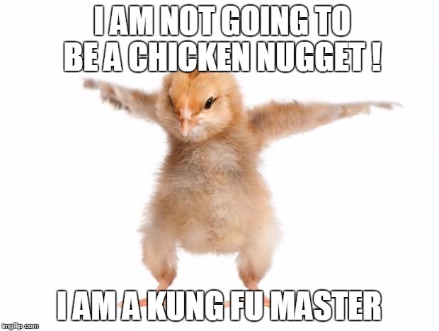 little Chicken | I AM NOT GOING TO BE A CHICKEN NUGGET ! I AM A KUNG FU MASTER | image tagged in strongest chicken | made w/ Imgflip meme maker
