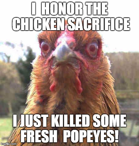 revenge chicken | I  HONOR THE CHICKEN SACRIFICE; I JUST KILLED SOME FRESH  POPEYES! | image tagged in revenge chicken | made w/ Imgflip meme maker